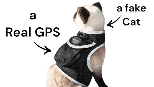 Rechargeable Dog GPS Tracking Device Non-Allergenic Collar Attached Mini Tracker Size:XS