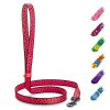 Nylon Dog Leash for Small Dogs and Medium Dogs 4 Ft x 4/5 inch Wide Strong Dog Leash Heavy Duty Dog Leashes for Small Boy Girl Dogs Watermelon Color