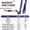 Nylon Dog Leash for Small Dogs and Medium Dogs 4 Ft x 3/5 inch Wide Heavy Duty Dog Leash Purple Nasa Color