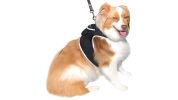 Pet Tracker Waterproof Tracking Device Portable Best Dog GPS Pet Locator Size:L