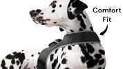 Find Pet Easily with Pet Tracker Mini GPS Collar for Dogs Tracking Device Size:L