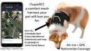 Collar Mount Mini Pet GSM GPS Tracking Device for Dogs with Mobile App Size:L