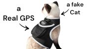 Pet Tracker Waterproof GSM GPS Dog Tracking Devices Wireless Pet Security Size:L