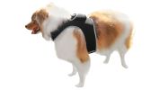 Pet Tracker Smallest Pet Tracker Realtime GSM GPS Wireless Dog Locator Size:L